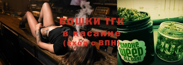 трава Арсеньев
