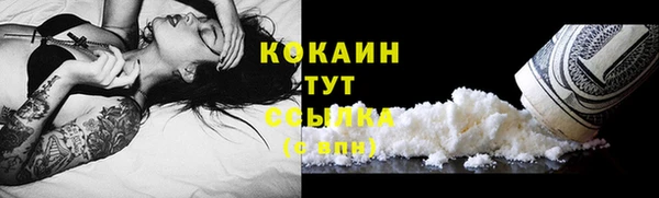 трава Арсеньев