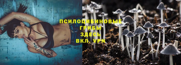 винт Аркадак