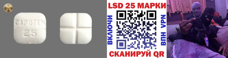 цена наркотик  Починок  LSD-25 экстази кислота 
