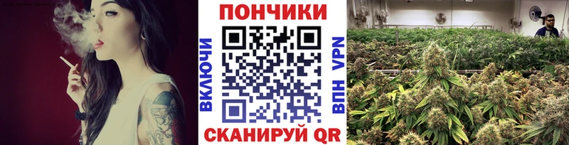 hydra Починок shop наркотические препараты Марихуана индика